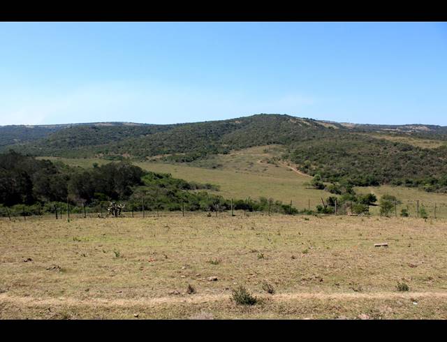 226HA FARM FOR SALE IN KOMGA RURAL